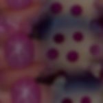 Ruby, đá thô và tỳ hưu lavender của Phong thuỷ Kiều Anh